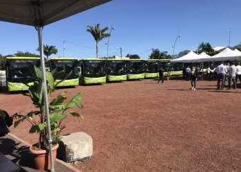 Hint Okyanusu’nda adaya ihracat