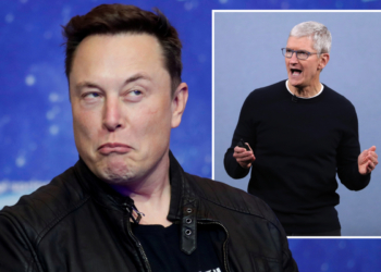 Tesla’yı Apple’a satmak istemiş